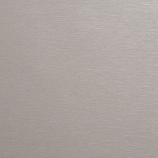 Ral 9006 Metbrush Platin XL